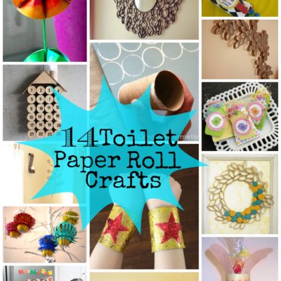 14 Toilet Paper Roll Crafts