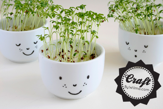 cute-cress-cups-with-a-face-diy-2