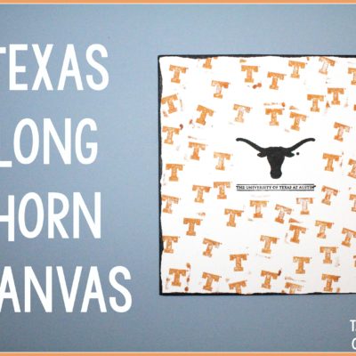 Texas Long Horn Canvas thumbnail