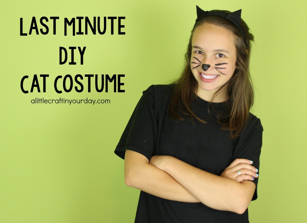 DIY Cat Costume A Little Craft In Your Day