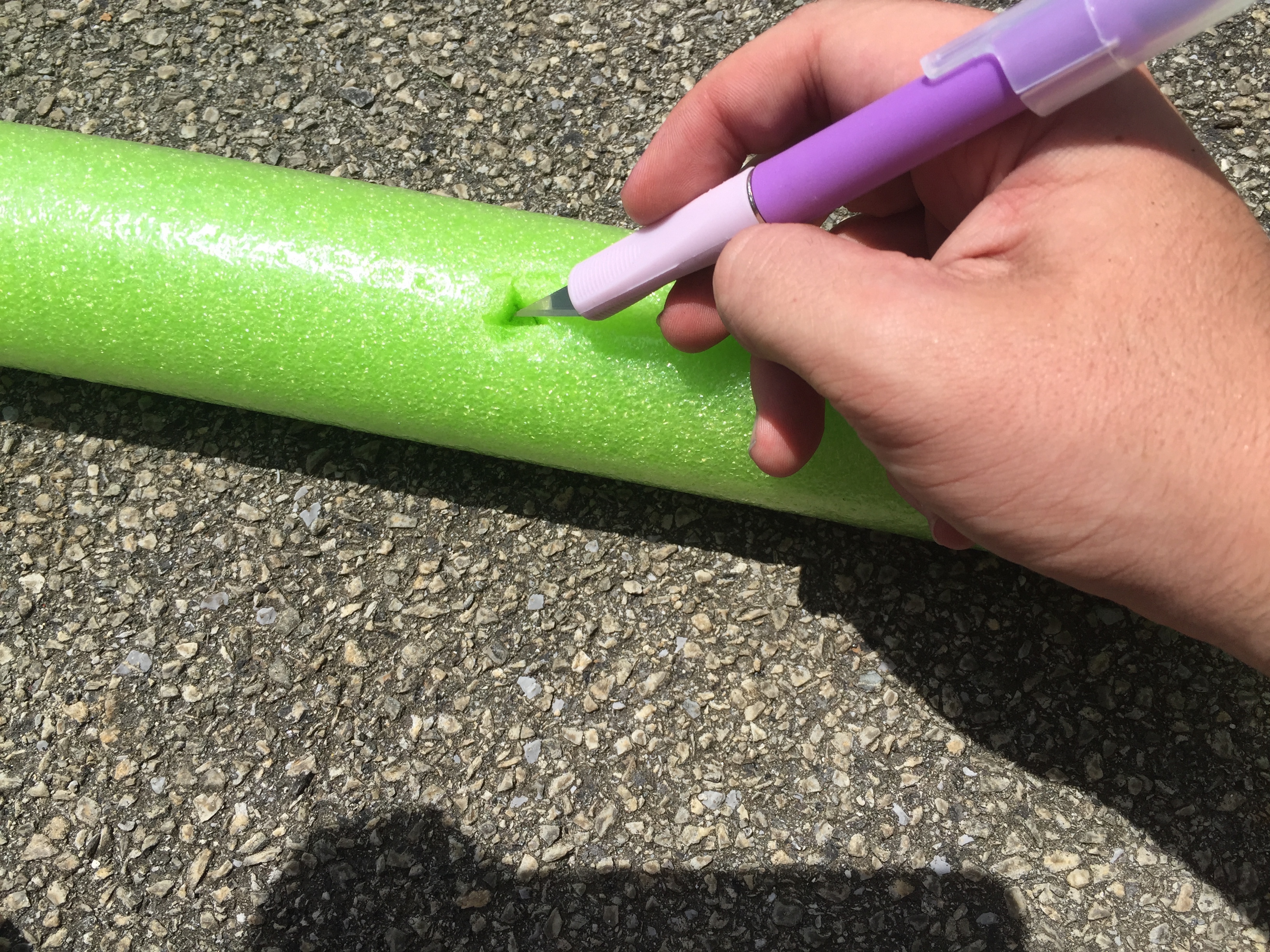 How to Water Plants with a Pool Noodle - A Little Craft In Your Day