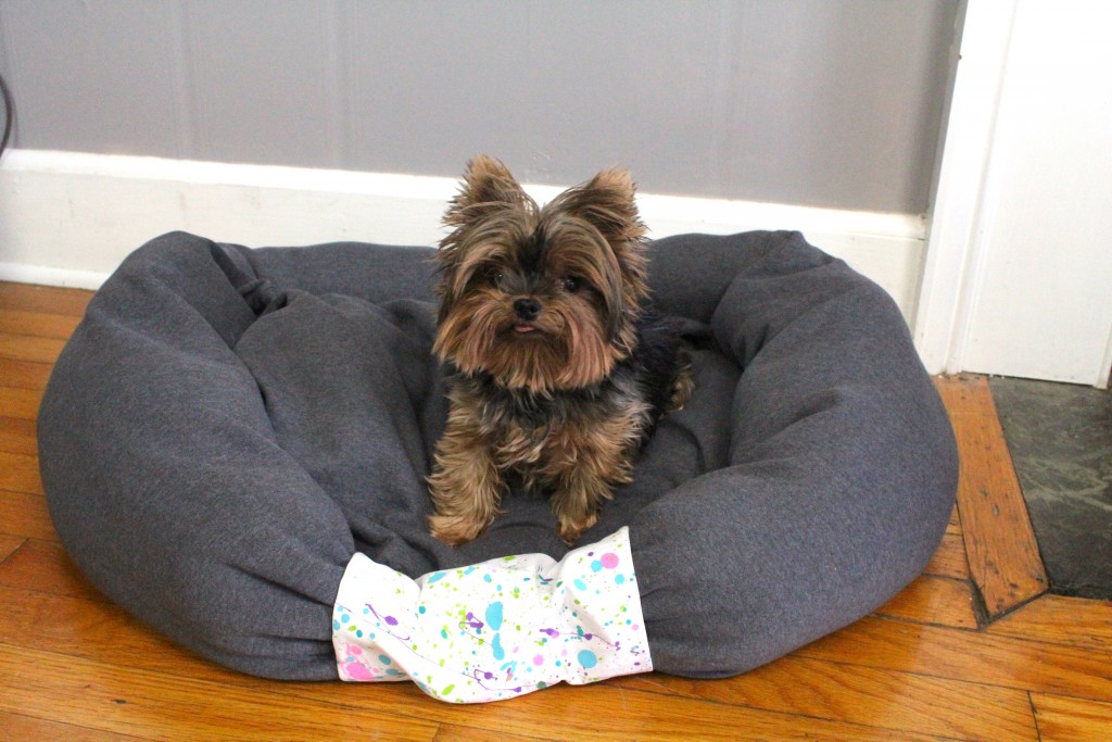 DIY Dog Bed From a Sweat Shirt A Little Craft In Your Day