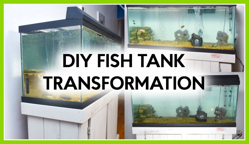 DIY Fish Tank Transformation