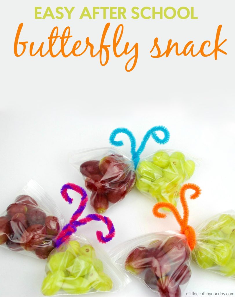 butterfly_snack