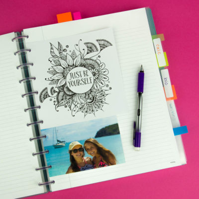 你是第一年级的第一年级学生