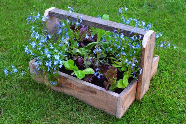 Pallet Project: DIY Trugs & Wood Planters 