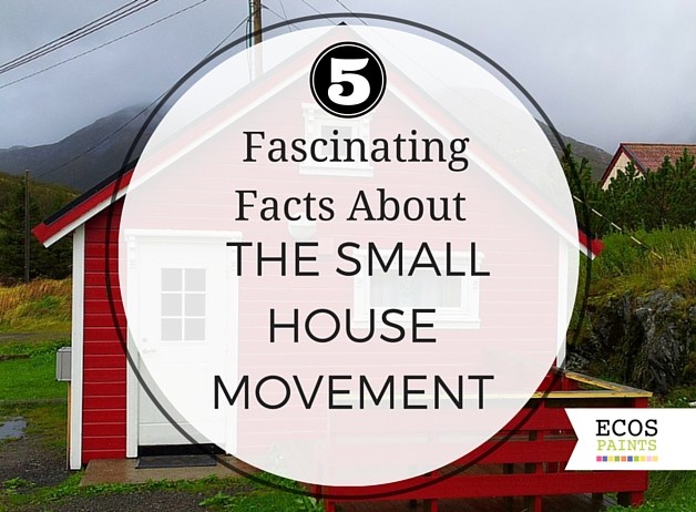 Fascinating Facts about the Small House Movement
