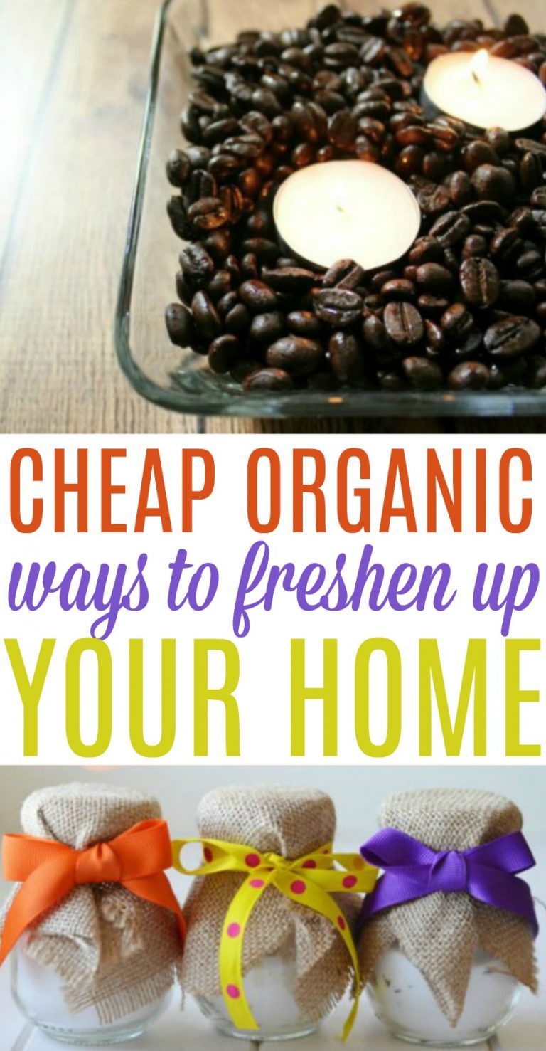 Cheap Organic Ways To Freshen Up Your Home A Little Craft In Your Day