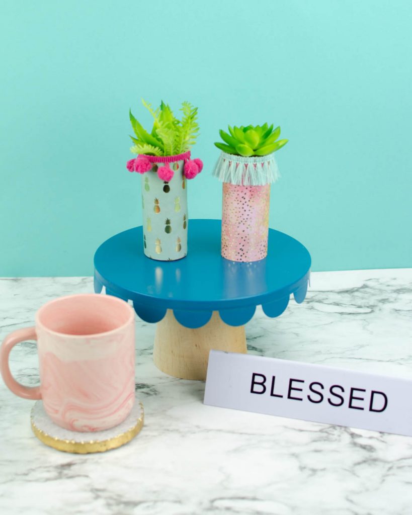 Trendy Toilet Paper Roll Craft Toilet Paper Roll Planters for Succulents