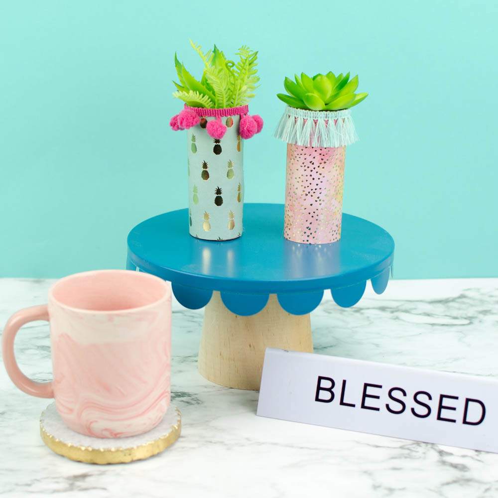 Trendy Toilet Paper Roll Craft Toilet Paper Roll Planters for Succulents