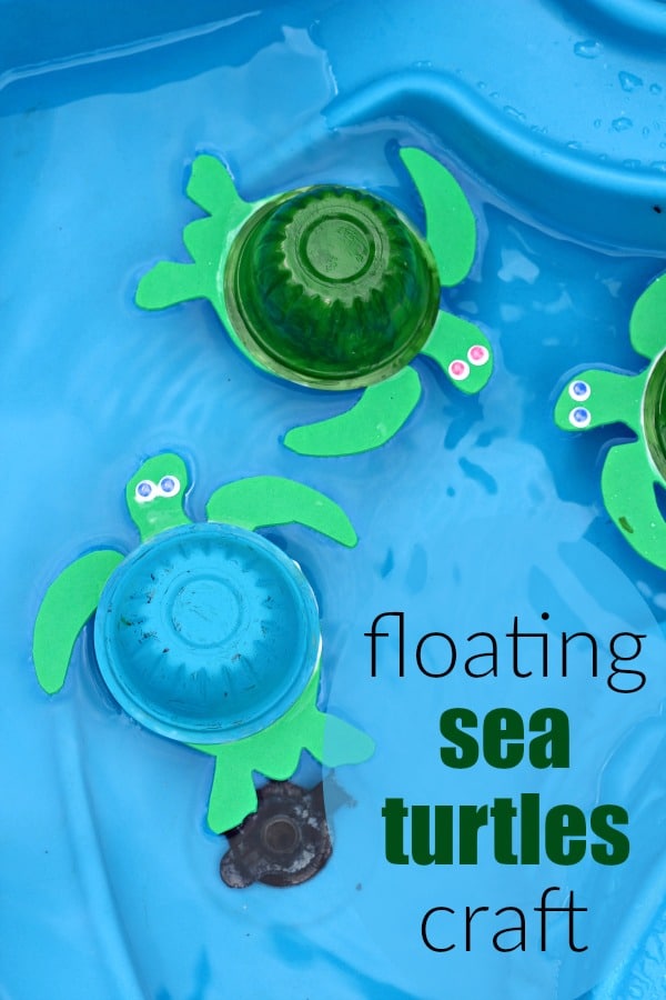 Sea Turtle for Kids 