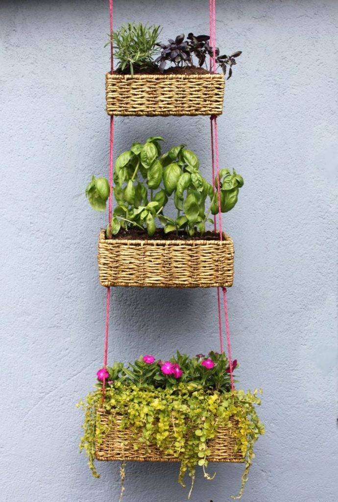 Hanging Basket Garden DIY