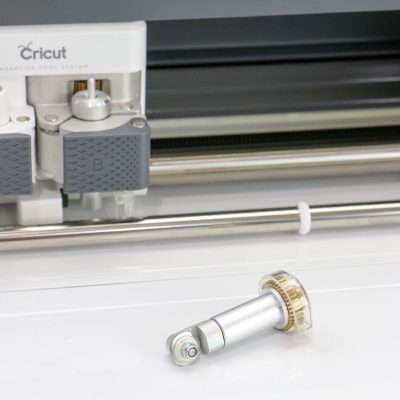 最大的最大的贱人