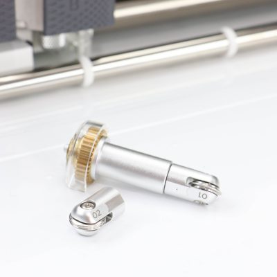 在子宫里的帮助