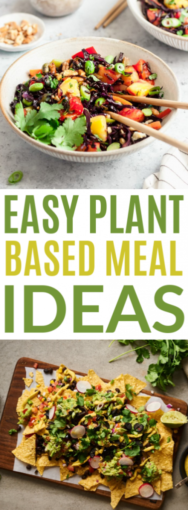 Easy Plant Based Meal Ideas roundup