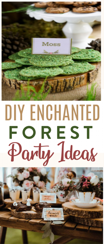 DIY Enchanted Forest Party Ideas - A Little Craft In Your Day