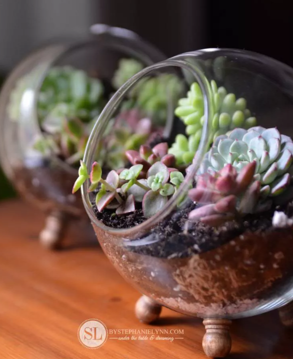 how to make a glass globe terrarium tutorial homemade succulent dish garden