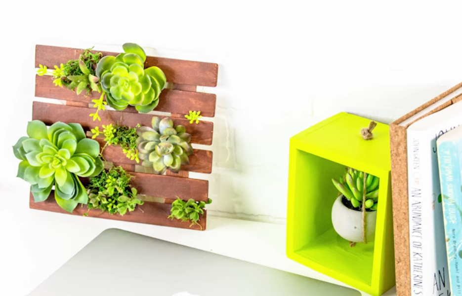 simple homemade succulent planter perfect home decor