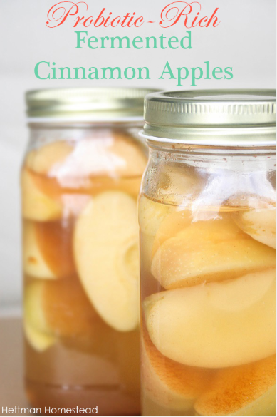healthy probiotic-rich fermented cinnamon apples