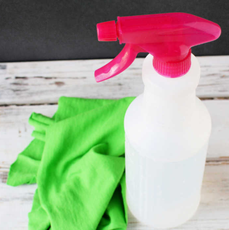 Homemade window cleaner with simple ingredients to save money