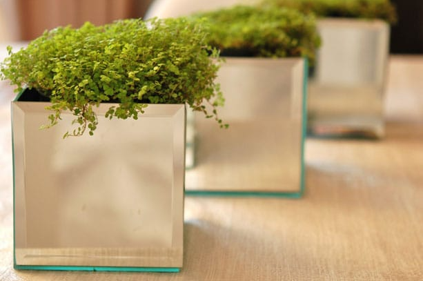 Easy an cheap $5 DIY cute little mirrored planter craft project in 15. minutes