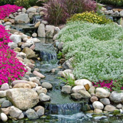 3 Unique Ways to Create Flower Beds in your Garden thumbnail