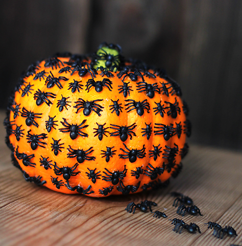  creepy crawly bug-infested spider pumpkin Craft Halloween Decorations