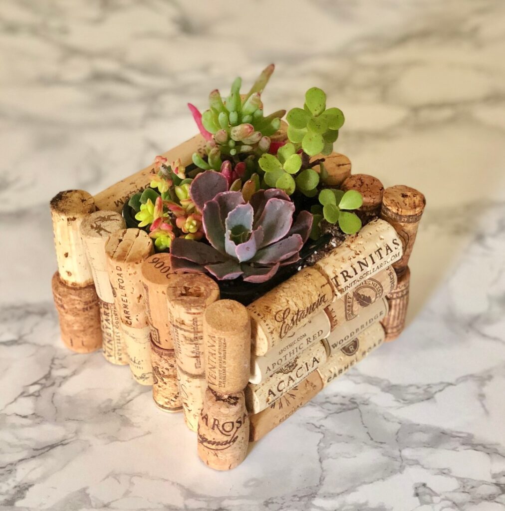A cute wine cork planter