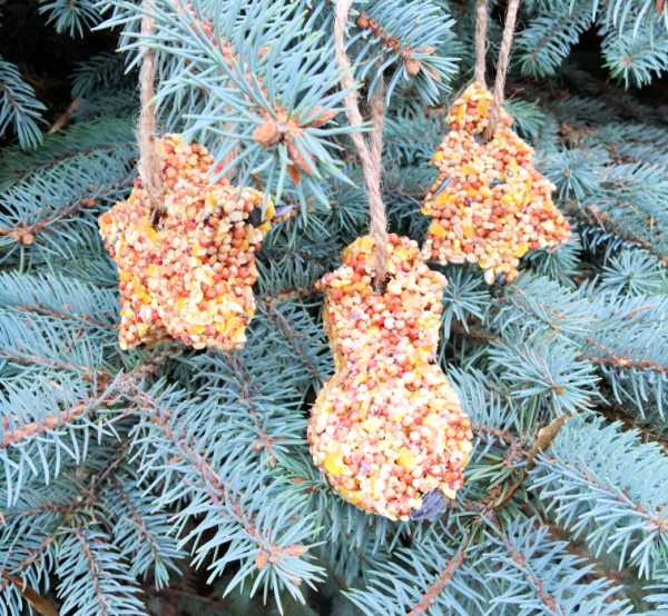 Homemade Cookie Cutter Bird Feeders simple and cute cold or rainy craft for kids