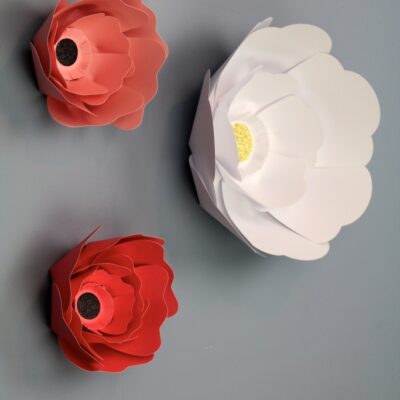 DIY Paper Flowers thumbnail