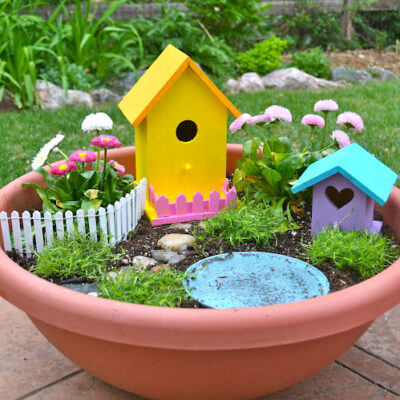 DIY Fairy Garden Ideas thumbnail