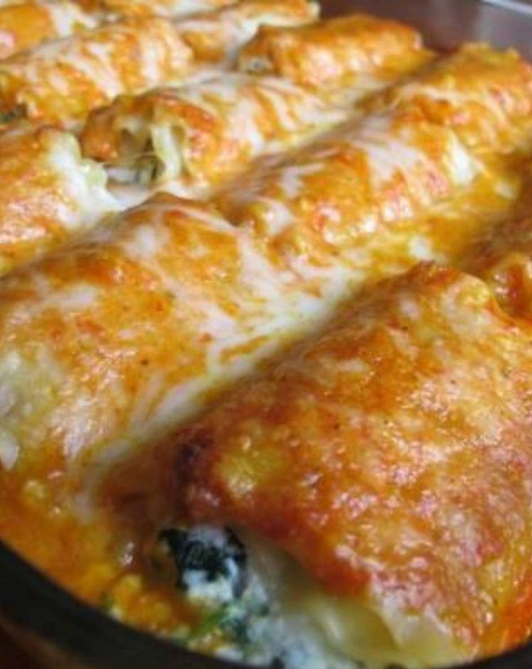 Chicken alfredo lasagna rolls
