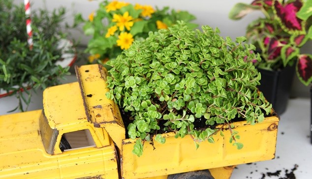 FUN UPCYCLED PLANTER DUMP TRUCK FOR KIDS