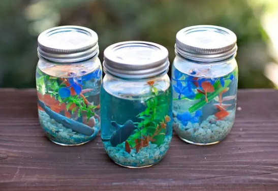 Fun DIY Mason Jar Aquarium for Kids Crafts
