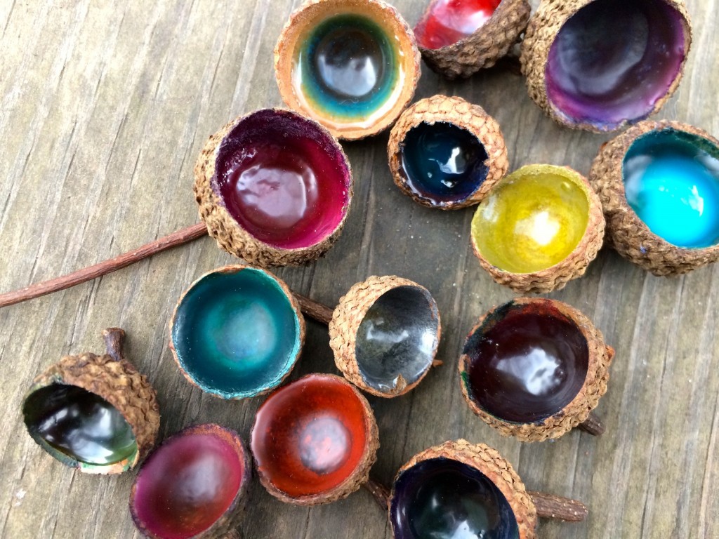 Colorful acorn cups