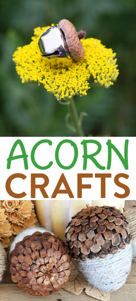 Acorn Crafts roundups