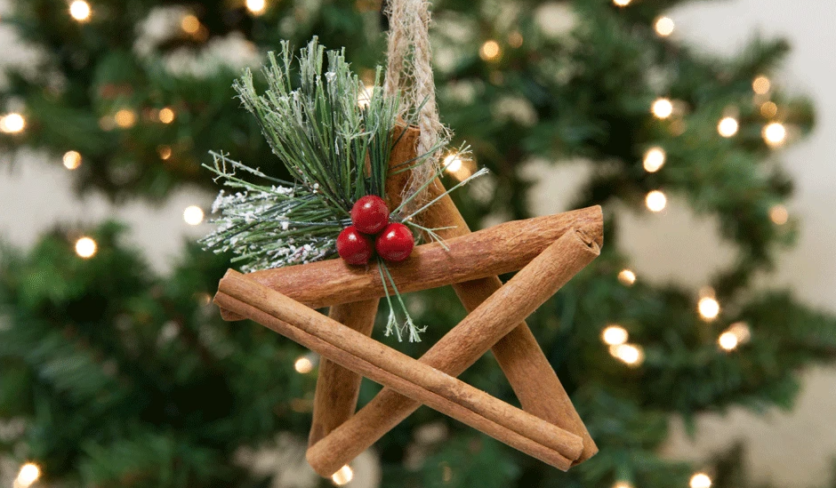 Cinnamon Stick Star Ornament with bristle and berries